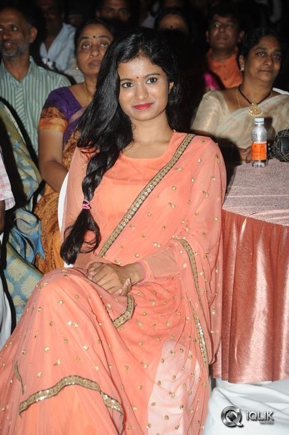 365-Days-Movie-Audio-Launch